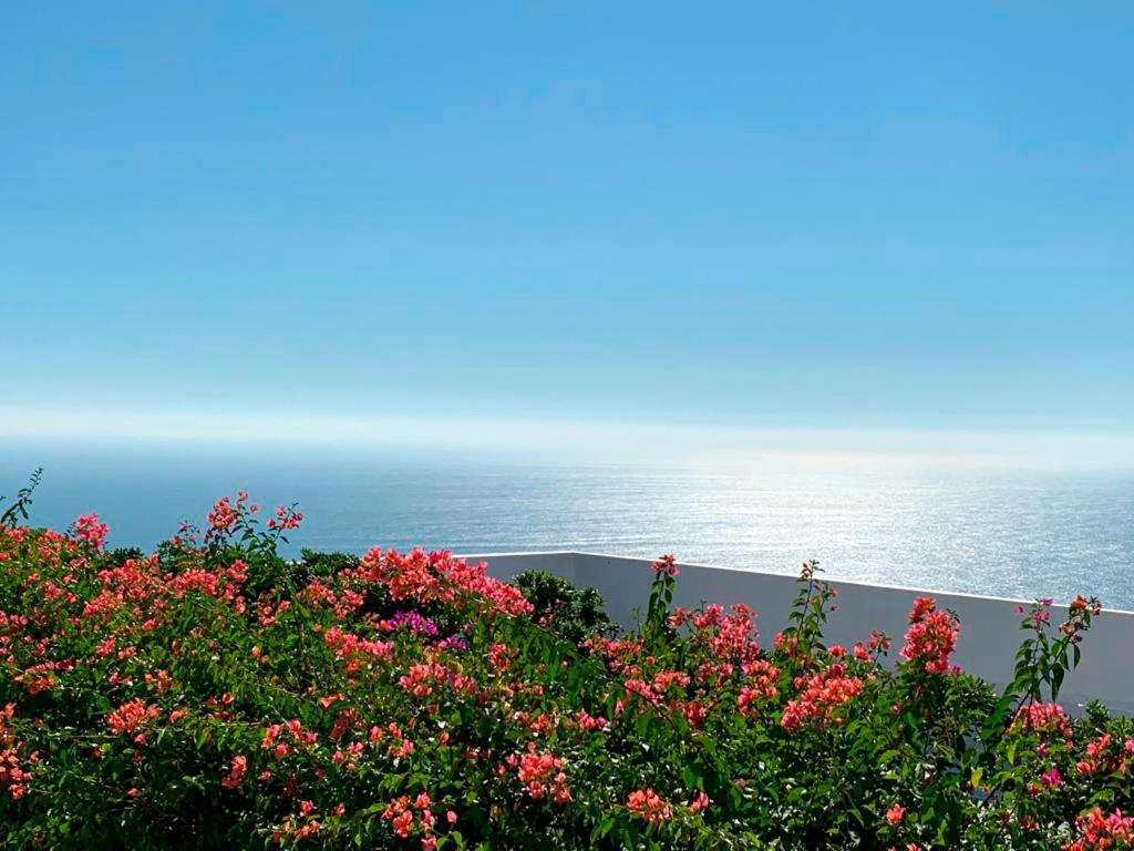 Encanto Acapulco Luaran gambar